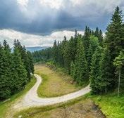 Czarna Góra Resort to całoroczny ośrodek górski położony w malowniczym regionie Masywu Śnieżnika. To istny raj dla miłośników pieszych wycieczek, nordic walkingu oraz kolarstwa górskiego.