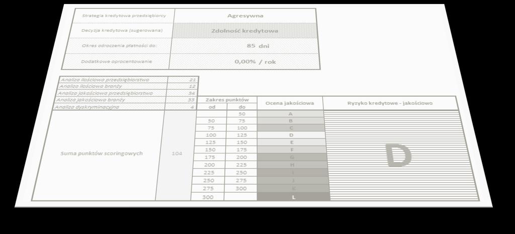 Niezbędnik każdego biznesu Scoring4U Doświadczenie na rynkach zagranicznych