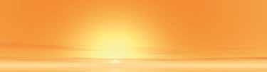 LETNIA KONFERENCJA NATURE S SUNSHINE 16-17 LIPCA 2016 r.