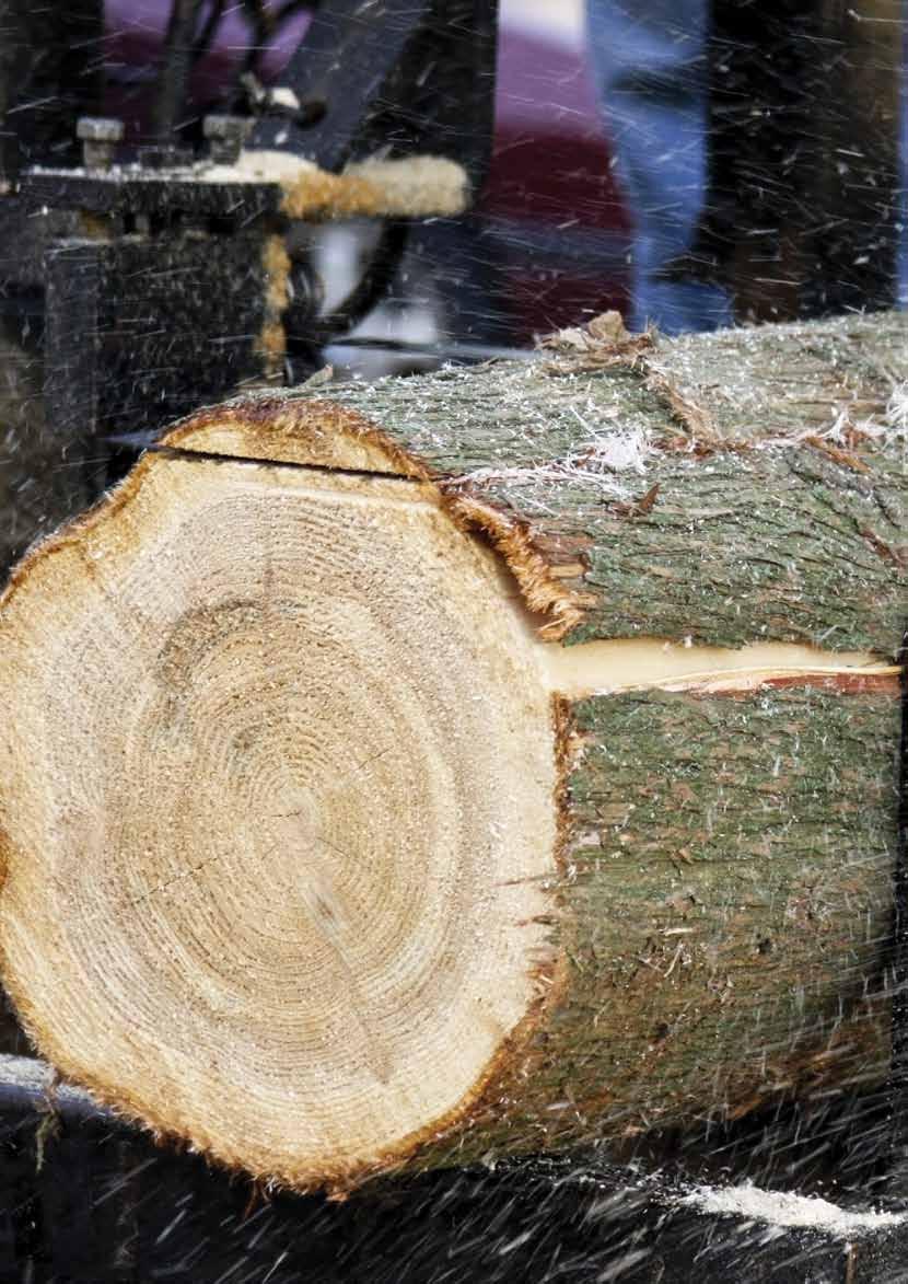 Rozwiązania dopasowane do zastosowań Na modułowych rozdzielnicach z rodziny SN MCC CENTERLINE 1500 można polegać jako na elastycznych opcjach, z których można wybrać opcję najlepiej dopasowaną