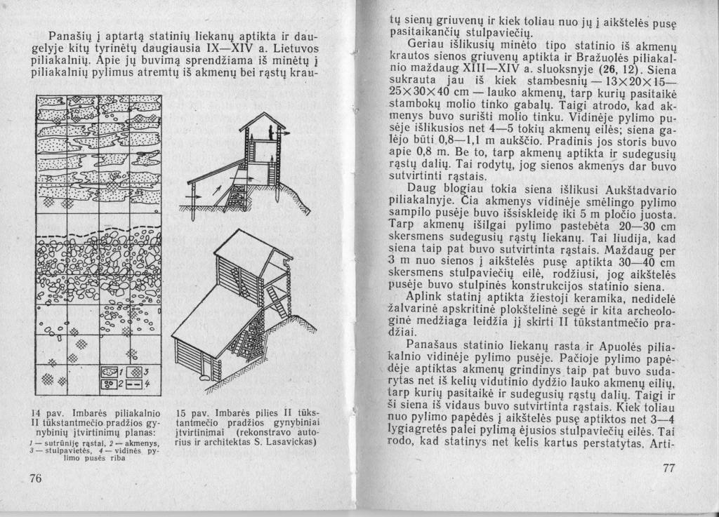 Panašių i aptartą statinių liekanų aptikta ir daugelyje kitų tyrinėtų daugiausia IX-:-:-XIV ~..: Li.et~vo~ piliakalnių. Apie jų buvimą.~prendzlama.