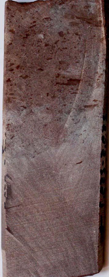 A sandstone interbed showing numerous mudstone clasts in the basal portion and cross-lamination in the topmost part, the Siod³a Formation,depth 259.5 259.