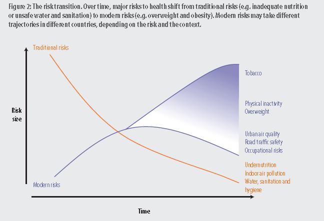 Wielkość ryzyka Ewolucja tradycyjnych czynników ryzyka chorób Tradycyjne czynniki ryzyka Palenie tytoniu Nowe czynniki ryzyka Czas Źródło WHO - Global health risks Niewłaściwe żywienie Mała aktywność