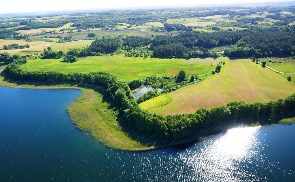Na obszarze terenu rekreacyjnego zlokalizowany jest