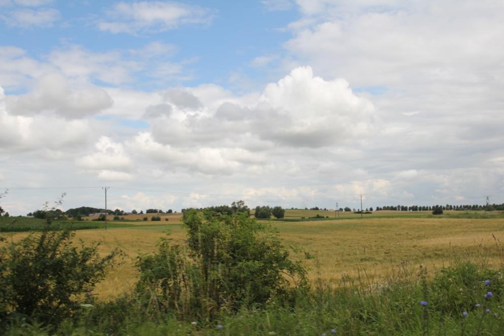 Natomiast w strefach krawędziowych dolin i rynien występują procesy erozji wodnej powierzchniowej i wąwozowej polegające na wymywaniu wierzchnich warstw gleby na terenach o wysokich spadkach.