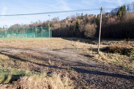 Przeciętna zabudowa zagrodowa najczęściej składa się z budynków o różnym wyglądzie i nie stanowi zharmonizowanego zespołu. Rysunek 33.