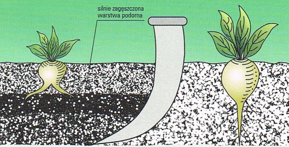 Głęboszowanie Głęboszowanie jest zabiegiem uprawowym o charakterze agromelioracyjnym wykonywanym głęboszem, który spulchnia glebę na głębokość 40-80 cm.