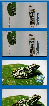 ekranu 1.