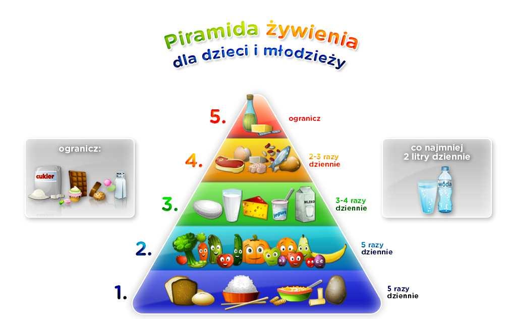 Żywienie jest jednym z najbardziej istotnych elementów życia człowieka. Jego jakość ma ogromny wpływ na organizm, warunkuje wzrost, rozwój, zdrowie, sprawność fizyczną i psychiczną.