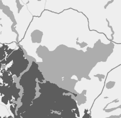 Geny MHC a zarażenie Intensywność zarażenia nicieniem Aspiculuris tetraptera site x MHC-DRB*024 Χ2=445.95, p<<0.