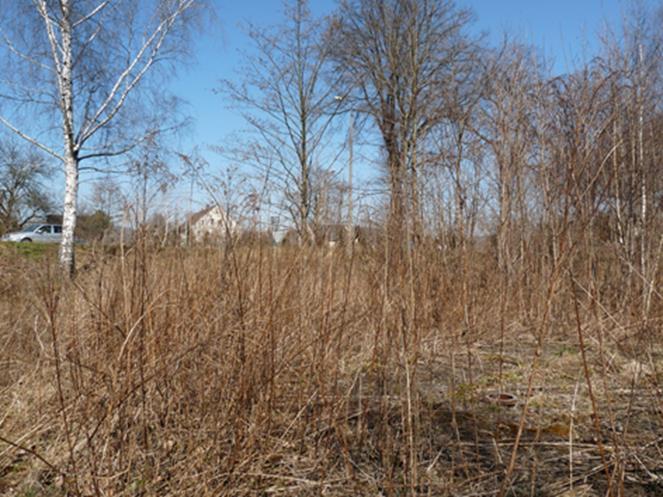 woj. dolnośląskie Jelenia Góra Niezabudowana nieruchomość gruntowa