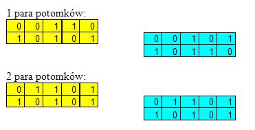 Przykład obliczeniowy Aby wykonać krzyżowanie należy:. Wylosować pary chromosomów do krzyżowania, np. ch z ch4 oraz ch3 z ch4. 2. Wylosować 2 liczby z przedziału [0,]. Np.