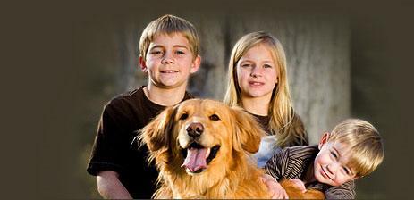 Marka PetSafe KATALOG PRODUKTÓW W ofercie produktów marki PetSafe znajdziesz bardzo popularne oraz w pełni zaawansowane systemy treningowe dla psów i kotów.