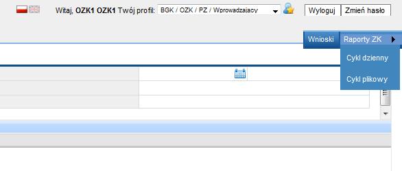 10. RAPORTY ZK W zakładce Raporty ZK widoczne są 2 zakładki dotyczące raportu.