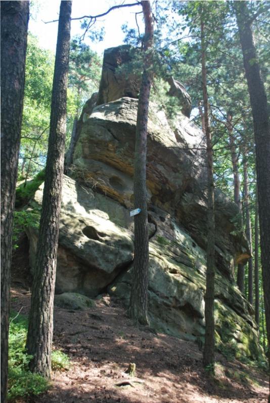 środowiska abiotycznego Park Krajobrazowy Pasma Brzanki Inwentaryzacja źródło - 1 obiekt