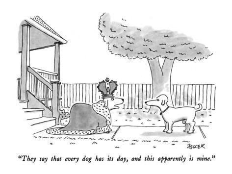 Every dog has its day Każdy