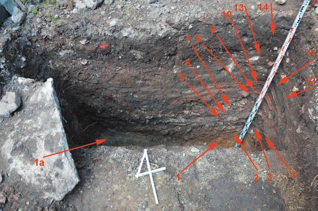 C. Buśko et al.: Zamek Czorsztyn w świetle najnowszych badań 205 Fot. 5. Wykop 6: profil nasypu wału drewniano-ziemnego zamku Wronin, fot. W. Głowa Phot. 5. Survey pit 6: the profile of wood and earth embankment of Wronin castle, phot.