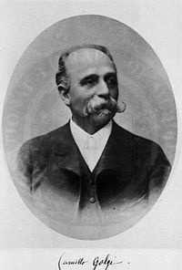XIX /XX Mała kontrastowość preparatów biologicznych Camillo Golgi wł. lekarz i histolog 1844-1926 1898 zobaczył aparat siateczkowy wokół jądra neuronu (aparat Golgiego) Ernst August Ruska niem.