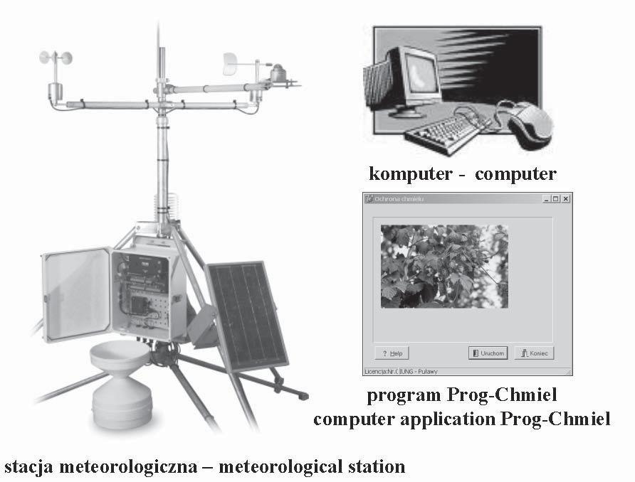 RYSUNEK 1. Składniki systemu do ochrony chmielu przeciwko mączniakowi rzekomemu FIGURE 1.