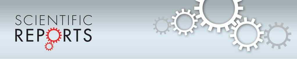 OPEN SUBJECT AREAS: PRE-CLINICAL STUDIES PROTEASES BIOCHEMICAL ASSAYS BIOPHYSICAL CHEMISTRY Received 19 November 2013 Accepted 8 January 2014 Published 27 January 2014 Correspondence and requests for