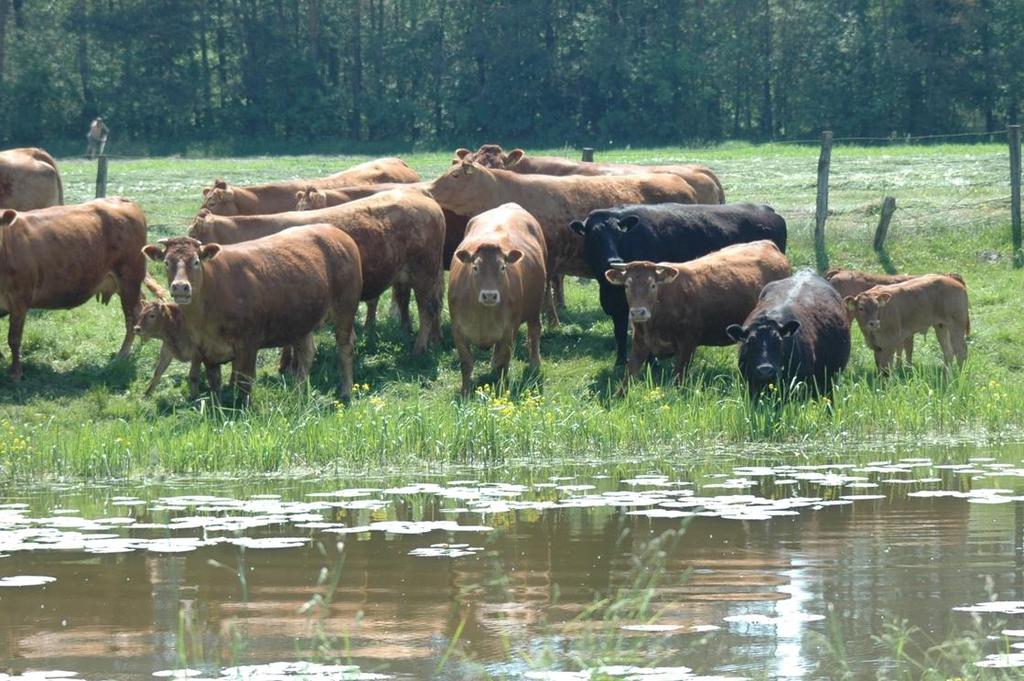 Wypełnienie tych celów jest niewątpliwie obowiązkiem każdego komu nie jest obojętne w jakim otoczeniu żyje i jakie chce pozostawić następnemu pokoleniu. 7.2.