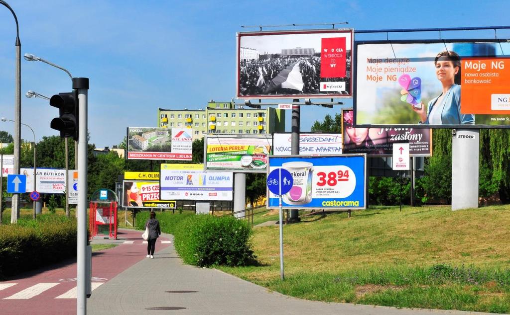 Prace nad klasyfikacją aktualnych krajobrazów Polski wskazują, że na niektórych obszarach uzasadnione jest wyodrębnienie krajobrazów