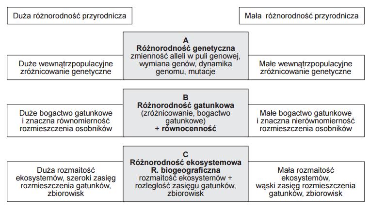 siedliskach, jak i samych warunków fizycznych, w których żyją.