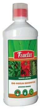 paproć, szeflera, fikus, dracena, jukka, hedera, begonia, aeschenanthus, monstera, filodendron, kalatea, frizea, rafidofora, diffenbachia,
