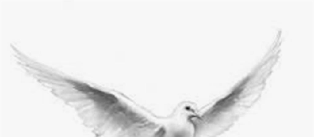 Sacrament of Confirmation Today at 2:30 PM Mass students from our Religious Education Program will receive the Sacrament of Con irmation. Most Rev. Andrew P.