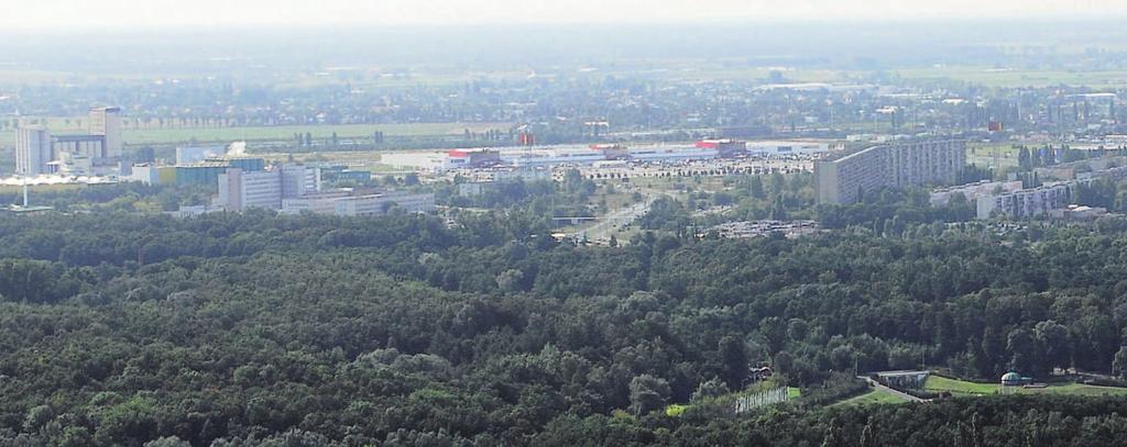 96 Cele pośrednie 4. OBSZAR: METROPOLIA 4.1.