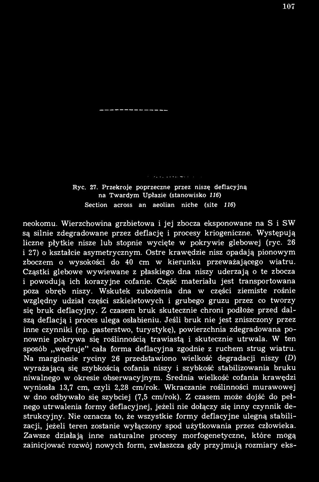 26 i 27) o kształcie asymetrycznym. Ostre krawędzie nisz opadają pionowym zboczem o wysokości do 40 cm w kierunku przeważającego wiatru.