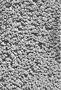 116 Rys. 2. Keramzytobeton wykonany na bazie keramzytu o frakcji ziarna 2 4 mm Fig. 2. Keramzite-concrete made on the basis of keramzite of a grain fraction 2 4 mm 3.