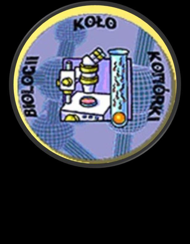 Koło
