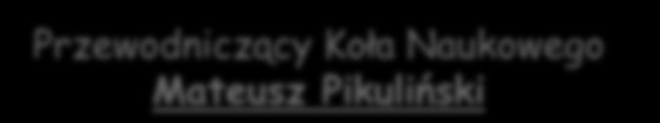 Przewodniczący Koła