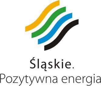 REGULAMIN REKRUTACJI I UCZESTNICTWA W PROJEKCIE Kierowca cięŝarówki - zawód na skalę europejską nr WND-RPSL.11.03.