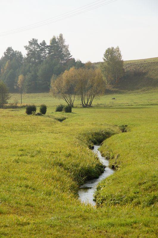 Metoda SEB (Scenic Beauty Estimation ocena piękna