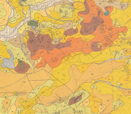 Minerały akcesoryczne w skale kwarcowej rejonu Wądroża Wielkiego (blok przedsudecki) wstępne dane 81 Taczalin Złoty Las Mikołajowice Wądroże Wielkie 0 1km holocen Holocene osady rzeczne fluvial