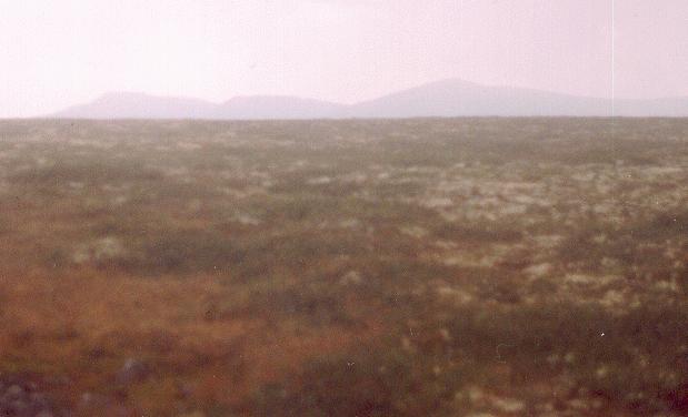 b c Ryc. 1b, c. Fotografie z terenu badań (a). Widok na Kandalakszskie Tundry od wschodu (b). Góra Zhielieznaya (c, widok z południa).