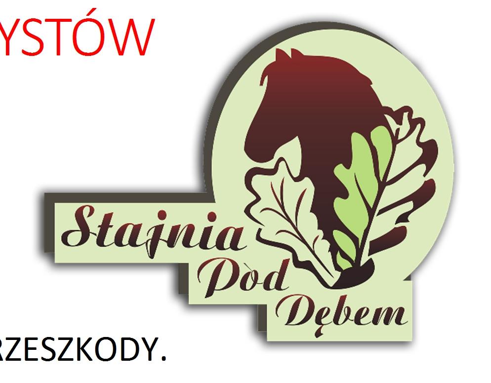 II MEMORIAŁ KAWALERZYSTÓW ŚWIĘTOKRZYSKICH PROPOZYCJE ZAWODÓW REGIONALNYCH i TOWARZYSKICH W SKOKACH PRZEZ PRZESZKODY. Pula nagród ok 16 000zł w tym 10 000zł finansowe 1.