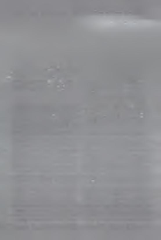 W ogłoszonej przed dziesięciu laty recenzji z publikacji tych badań zwracałem uwagę, że zastosowanie sprzętu mechanicznego przy odsłanianiu wykopu spowodowało utratę większości pozostałości