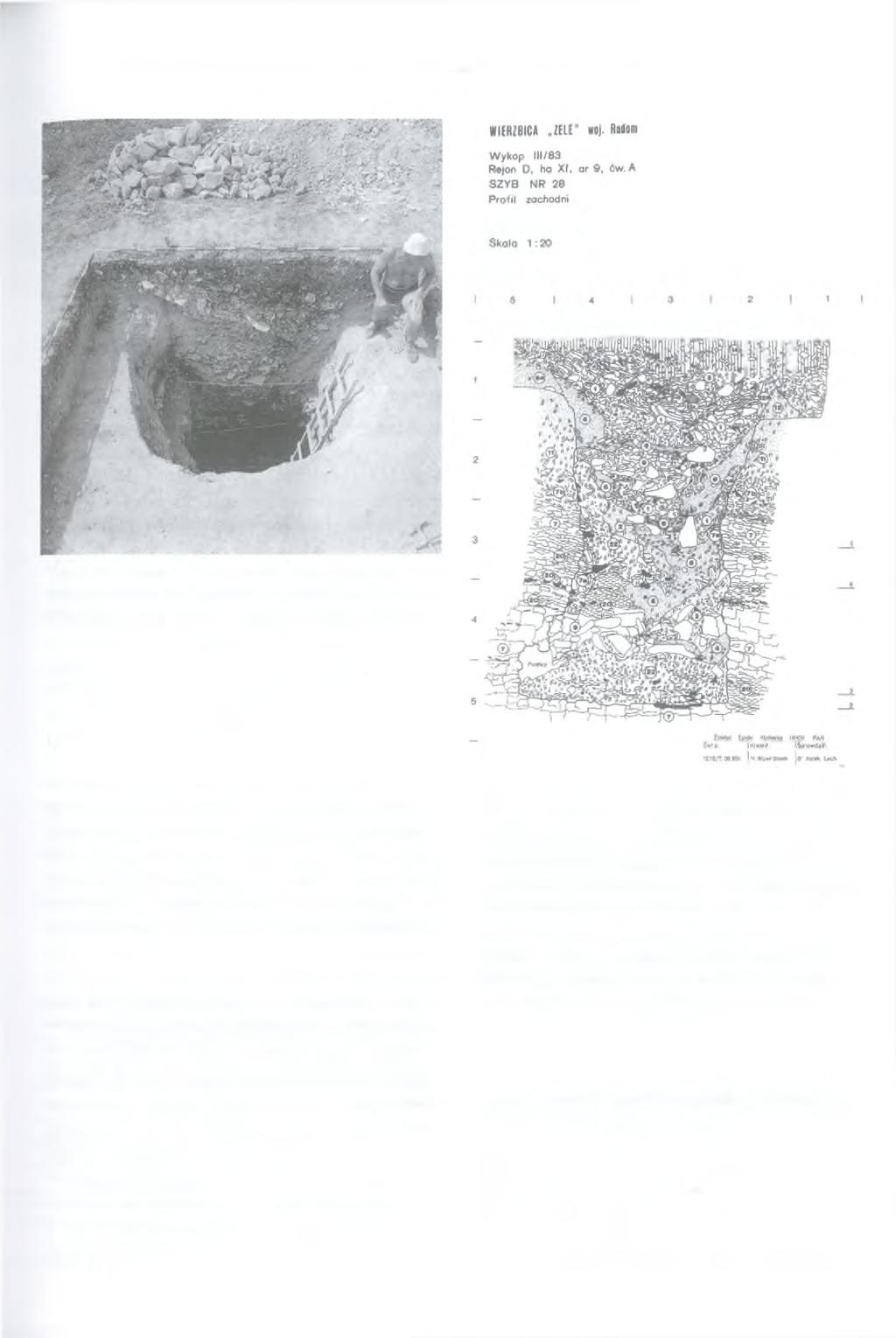 O BADANIACH PREHISTORYCZNEGO GÓRNICTWA KRZEMIENIA I KOPALNI W KRZEMIONKACH OPATOWSKICH 37 Ryc. 19. Wierzbica, pow. Radom. Stanowisko Zele. Kopalnia krzemienia. Badania w sierpniu 1983 r.