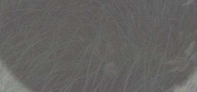 Polyethylene 175