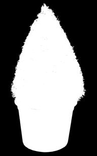 MARCOWE HITY