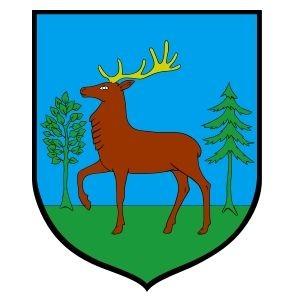 SZTAFETY RODZINNE Miejsce K. wiekowa Nazwisko Imię Miejscowość 1 JUNIOR 10 Blechinger Krzysztof / Fabian Złotów 01:16.13 2 JUNIOR 10 Rosiak Paweł / Mikołaj Gryfino 01:21.