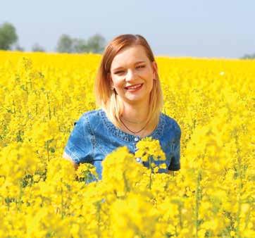 Wysokie i potężne rośliny o dużej liczbie pędów bocznych zapewniają wysoką produktywność.