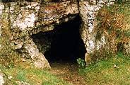Jaskinia Twardowskiego Długość jaskini: 500.17 m Głębokość jaskini: -12.