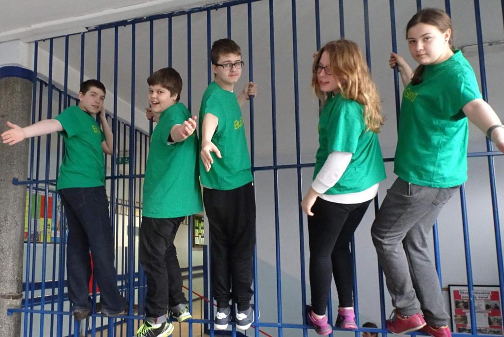Koszulki mamy w zielonym kolorze z dwoma żółtymi napisami: przód - EkoGim10, tył Gimnazjum 10 w Gliwicach.