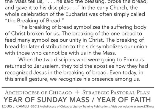 The Evangelist tells us that everyone ate their fill, and when the disciples gathered up the leftovers they filled twelve baskets.