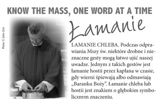 wzorzec życia. Zajęcia odbywać się będą w sobotę rano od 9:30 am. do 11:30 am.