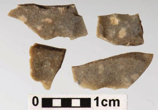 Examples of splintered forms of chocolate flint from Sarnowo phase of Funnel Beaker Culture (photo W. Pohorecki) Ryc. 10. Redecz Krukowy, gm. Brześć Kujawski, stanowisko 20.